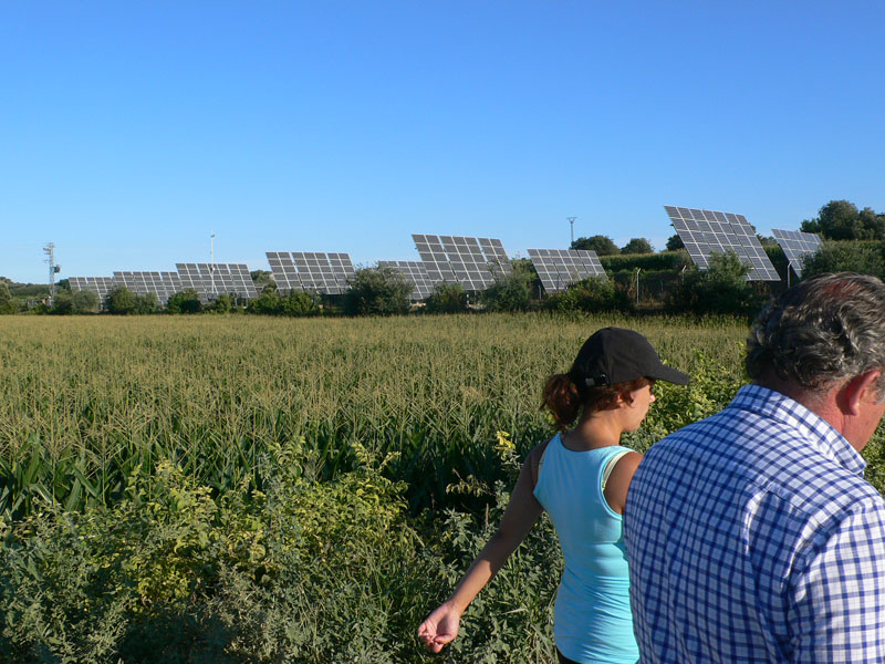 Cerca de los huertos solares 