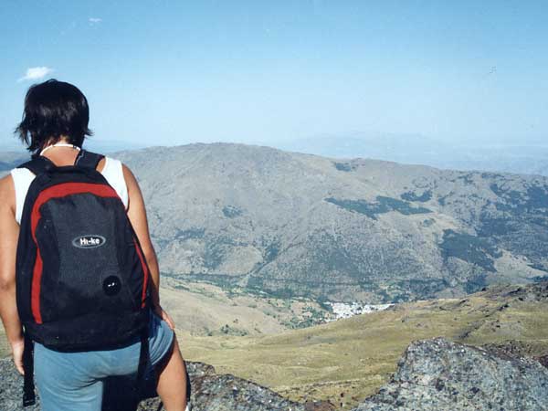 Vistas 