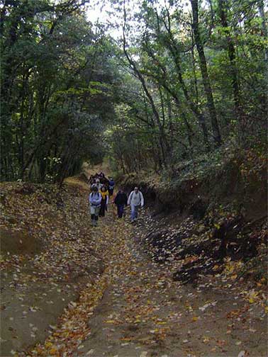 Primeras rampas 