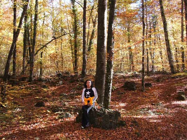 Fageda d en Jord&agrave; 