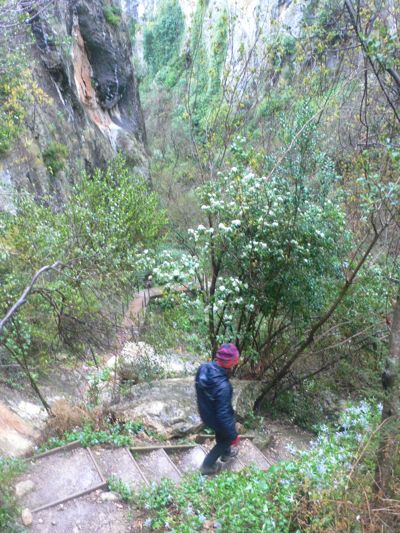 Continuamos bajando por el barranco de la Fuente 