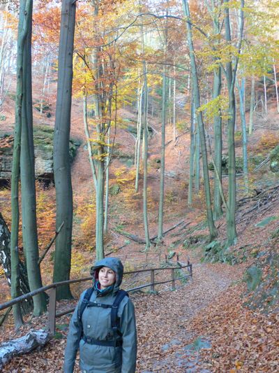 Bajando por el bosque en dirección a Hrensko 