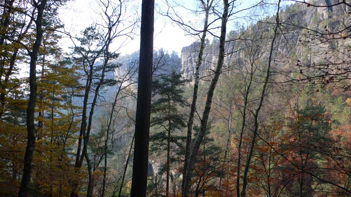 Vistas a las paredes frontales 