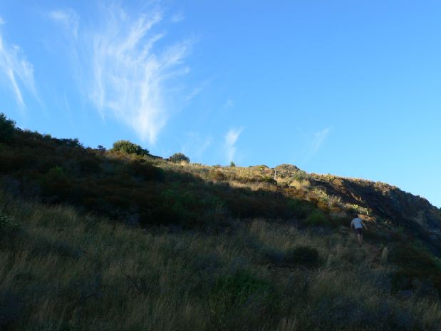 Fuerte subida 