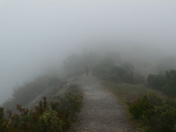 Subiendo al Montcau con esta niebla decidimos visitar la cueva simanya para aprovechar mejor el día 