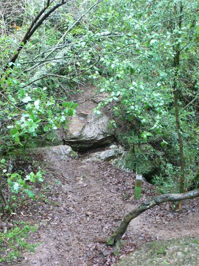 Dejamos el GR a nuestra derecha y nos desviamos hacia la cueva Simanya 