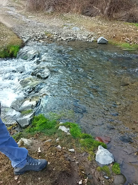 Cruzamos el río 