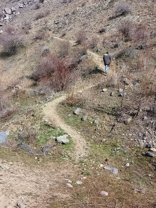 Camino de cabras de subida a Garni 
