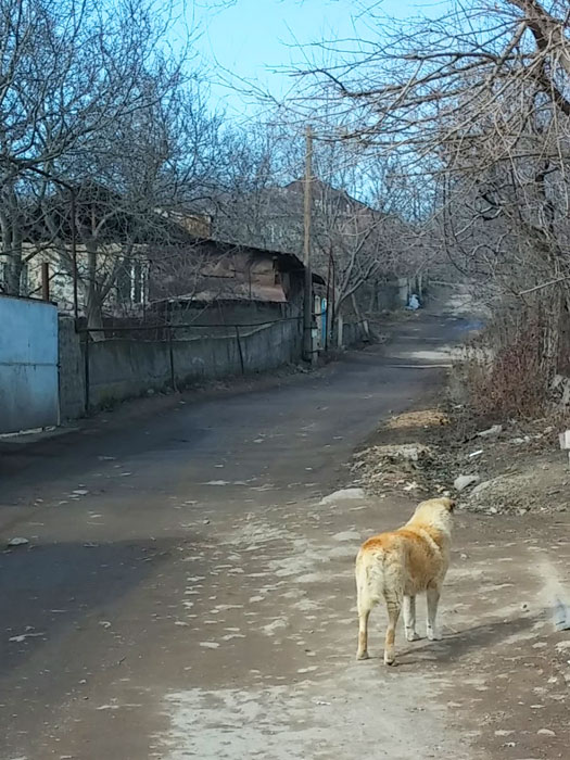 Calle de tierra 