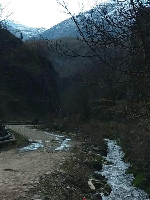 Camino de bajada 