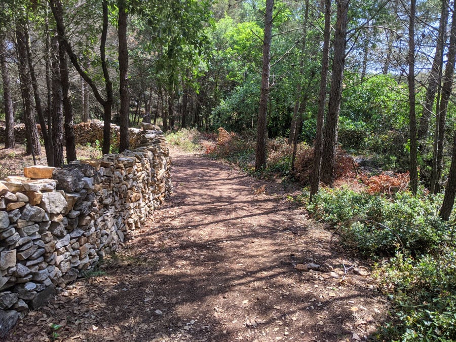 Vista atrás al camino con la pared de piedra seca 