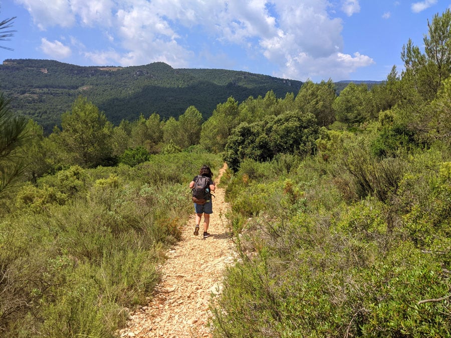 Seguimos el camino en ligera bajada 