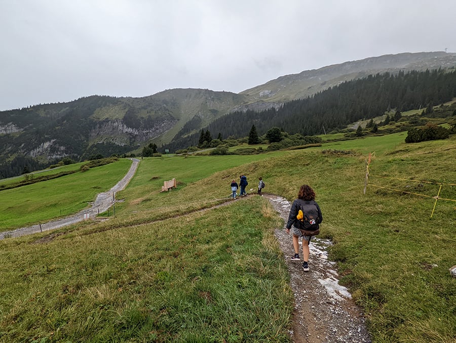 Bajamos por una pista que serpentea por el campo 