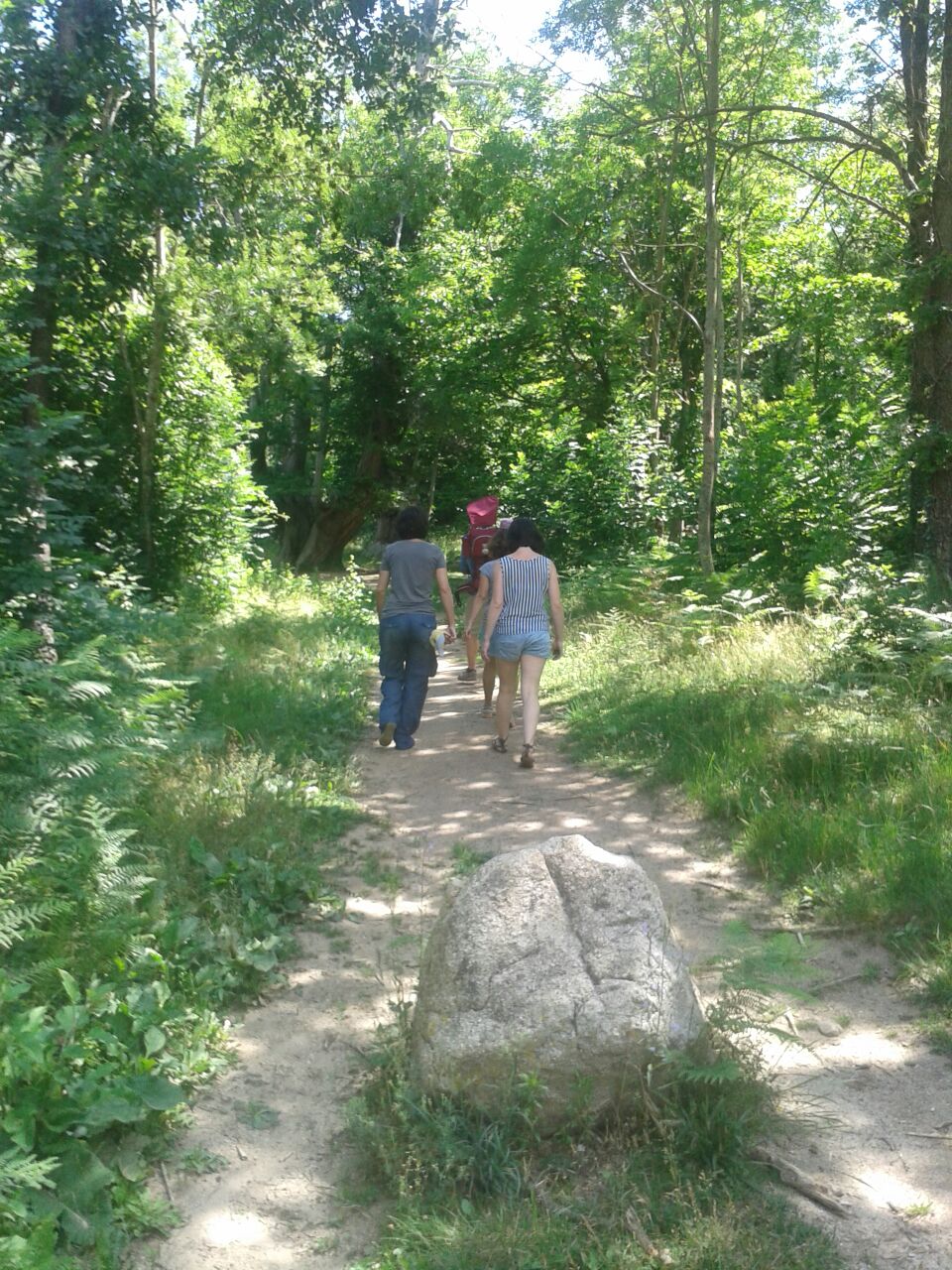 Camino de regreso 