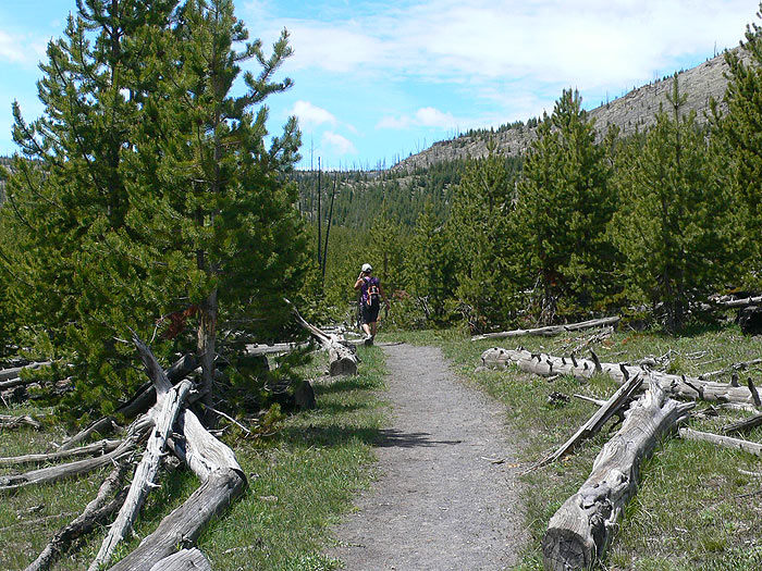 Sendero que nos conduce al géiser Imperial 
