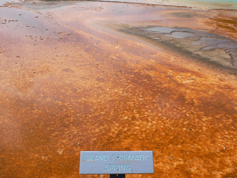 Al pie del Grand Prismatic 