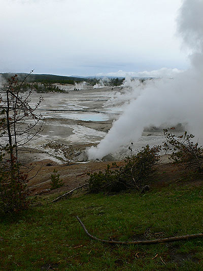Vista general de Norris Geyser Basin II 