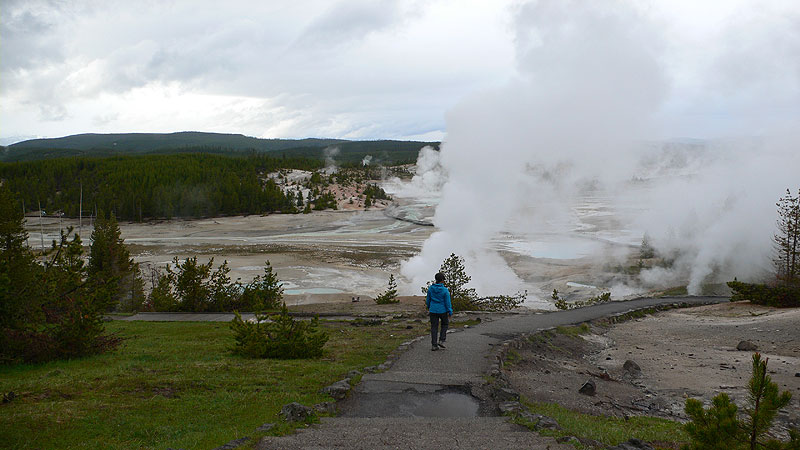 Vista general de Norris Geyser Basin 