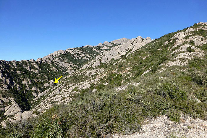 Más o menos en la flecha cogeremos el cauce del torrent de Santa Caterina