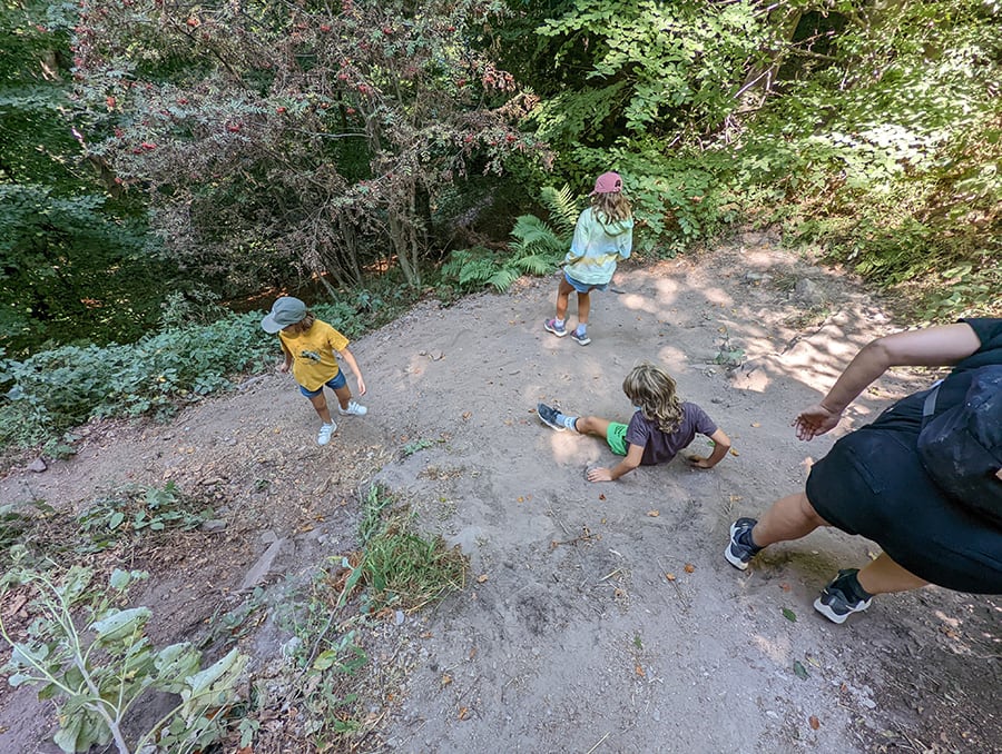 Bajamos por el bosque con sendero algo descompuesto a veces