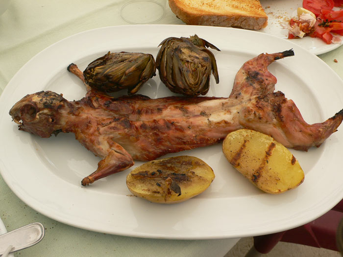 Conejito de Casa Juaco