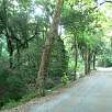 Bajada de Sant Medir / Bike route De Barcelona a Valldoreix 