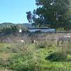 Caballos junto al Besòs / Bike route Ríos Congost y Besòs | Bajando de La Garriga 