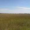 El río de hierba / Bike route Everglades | Shark Valley 
