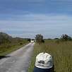 Cediendo el paso al Bus eléctrico del Shark Valley / Bike route Everglades | Shark Valley 
