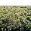 Vistas al sur desde la cima de la torre observatorio / Bike route Everglades | Shark Valley 