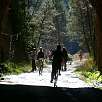 La vía es apta para todos y por su longitud (10km.) muy recomendable para hacer a pie / Bike route Vía Verde del Llobregat 