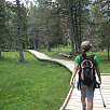 La pasarela entra en el bosque haciendo una vuelta circular / Hiking route Sant Nicolau entrada a Aigüestortes 