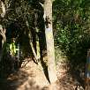 En el collado del Pas del Rei seguimos GR y flechas amarillas / Hiking route De Barcelona a Sant Cugat por el camino de Santiago 