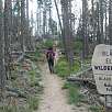 Indicador del Black Elk Wilderness / Hiking route Black Hills | Harney Peak | Cathedral Spires 