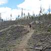 Zona de bosque devastada de camino a Little Devils Tower / Hiking route Black Hills | Harney Peak | Cathedral Spires 