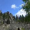 Nos abrimos paso entre árboles caídos / Hiking route Black Hills | Harney Peak | Cathedral Spires 