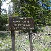 Enlace con el sendero nº 4 -derecha a Harney Peak- / Hiking route Black Hills | Harney Peak | Cathedral Spires 