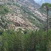 El Bosque se recupera de un incendio / Hiking route Bosque de Bonifatu 