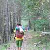 En el bosque previo a la subida al Ferrús / Hiking route Camí dels Bons Homes 