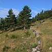 Al día siguiente día despejado bajamos hacia Bagà / Hiking route Camí dels Bons Homes 