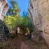 Detalle vegetación propia del lugar / Hiking route Los Callejones de las Majadas. Serranía de Cuenca 