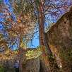 Detalle desde atrás del pino acomodado / Hiking route Los Callejones de las Majadas. Serranía de Cuenca 