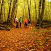 Caminando por la Fageda d en Jordà / Hiking route El volcán Croscat y La Fageda 