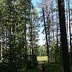 Seguiremos por la orilla del estanque Heron / Hiking route Grand Teton National Park | Por las orillas del lago Jackson 