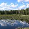 El estanque Heron / Hiking route Grand Teton National Park | Por las orillas del lago Jackson 