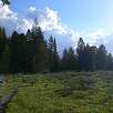 Los tramos de bosque se intercalan con zonas de prados abiertos / Hiking route Grand Teton National Park | Por las orillas del lago Jackson 