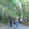 Subiendo por el Bois d Arribama un tupido bosque de hayas / Hiking route Grande Cascade | Gavarnie 