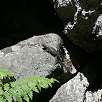 Lagarto / Hiking route Kings Canyon National Park | Mist Falls 