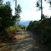 De bajada camino al Papiol / Hiking route Les Escletxes y el Puig Madrona de Collserola 