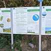 Indicadores en el camino -el Merkur es una zona de despegue de parapentes- / Hiking route El Merkur en Baden-Baden 
